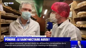 À cause de la mauvaise météo de cet été, le Saint-Nectaire voit sa production chuter