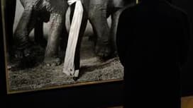 Le cliché "Dovima with elephants", représentant le mannequin posant en robe Dior entre deux éléphants, de Richard Avedon a été adjugé 841.000 euros samedi à Paris, un record mondial pour la vente d'une photographie de l'artiste américain. /Photo prise le
