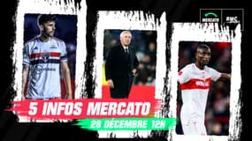 Beraldo, Ancelotti, Guirassy... Les 5 infos mercato du 28 décembre à la mi-journée