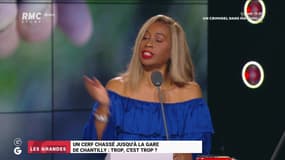 Cerf chassé jusqu'à la gare de Chantilly : trop, cest trop ? - 14/01