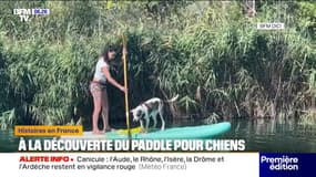 À Manosque, à la découverte du paddle avec son chien