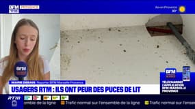 RTM: les usagers des bus ont peur des punaises de lit