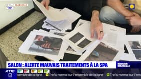 D'ex-bénévoles dénoncent la gestion de la SPA de Salon-de-Provence