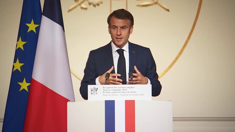 Incendies: Emmanuel Macron veut replanter « un milliard d’arbres en 10 ans » en France