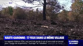 Haute-Garonne: l'exaspération des habitants de Villaudric après 17 incendies en deux mois