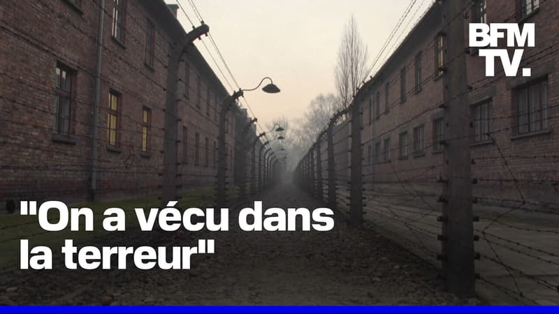 80 ans après la libération du camp d'Auschwitz, des rescapées racontent l'horreur