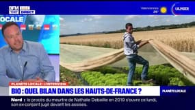 Planète Locale du lundi 24 juin - Bio : quel bilan dans les Hauts-de-France ? 