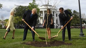 Donald Trump et Emmanuel Macron plantent un chêne français dans les jardins de la Maison Blanche, le 23 avril 2018