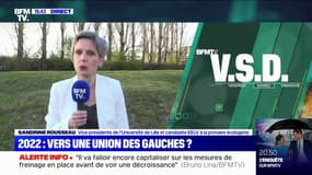 Réunion de la gauche: Sandrine Rousseau veut "une primaire basée sur le jugement majoritaire", entre tous les candidats écologistes et de gauche