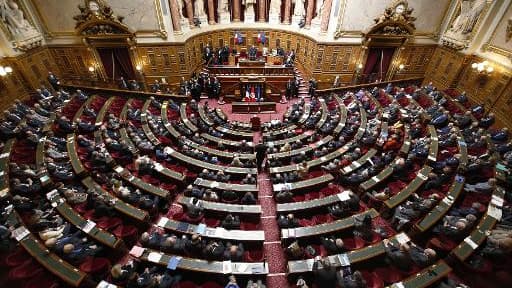 La sénatrice Sylvie Goy-Chavent a propose une loi pour interdire aux personnes condamnées pour pédophilie d'exercer une activité professionnelle ou bénévole avec des enfants