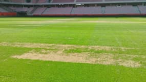 La pelouse du stade de l'Allianz Riviera, où réside l'OGC Nice, le 20 août 2024.