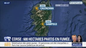 Corse: au moins 600 hectares ravagés par des incendies