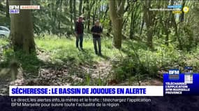 Sécheresse dans les Bouches-du-Rhône: le bassin de Jouques en alerte
