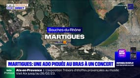 Martigues: une jeune fille victime d'une piqûre lors d'un concert