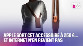 Apple sort cet accessoire à 250 euros... et Internet n’en revient pas