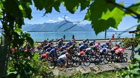 Le peloton du Tour de France le 10/07/2022
