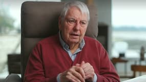 Charles Biétry, ancien journaliste sportif de Canal+, lors de son interview à l'émission 7 à 8 sur TF1, diffusion le 26 janvier 2025