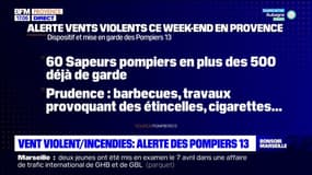 Bouches-du-Rhône: le risque d'incendie élevé ce week-end en raison du vent