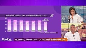 Narcotrafic - Clermont-Ferrand : "La drogue a toujours été dans le pré"