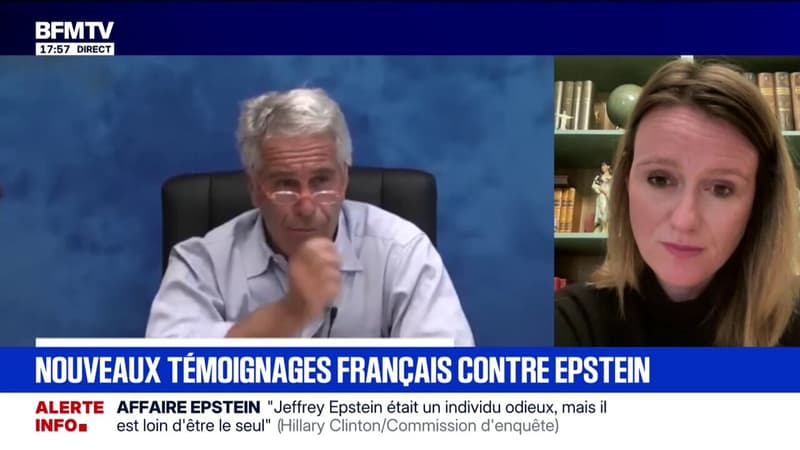 "Nous recevons des messages d'un peu partout": l'association "Innocence en danger" a lancé un appel pour recueillir des témoignages de victimes en France liés à l'affaire Epstein