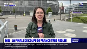 Villeneuve-d'Ascq: la finale de la Coupe de France entre le PSG et l'OL très surveillée par la préfecture du Nord