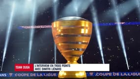 Dimitri Liénard : "Le terrain n'était pas bon, la pelouse était peinte"