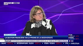 Sur le green  : La gestion financière via le prisme de la biodiversité - 08/12