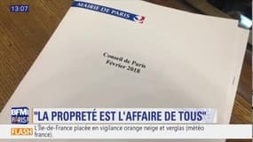 La propreté au coeur du Conseil de Paris ce lundi