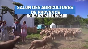 La Métropole, le mag : Salon des Agricultures de Provence