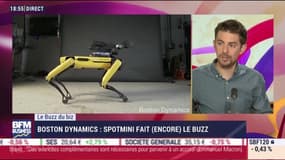 Le Buzz du Biz: Le robot SpotMini de Boston Dynamics fait encore le buzz - 17/10