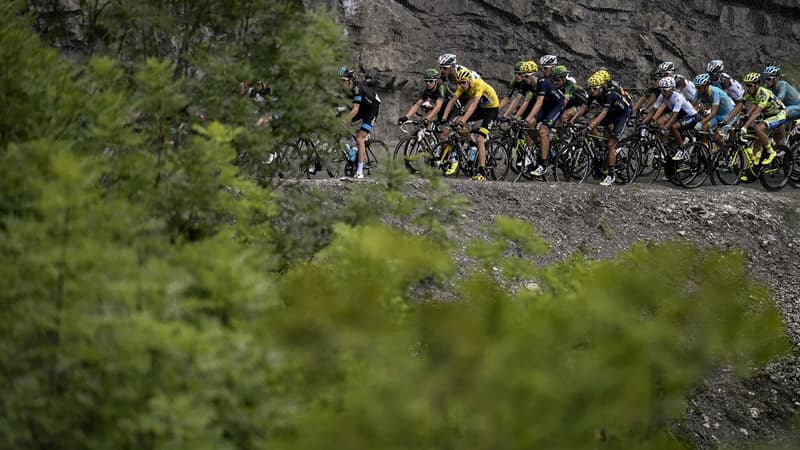 Le peloton dans les Alpes