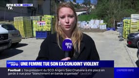À Vaux-sur-Seine, une femme mise en garde à vue, accusée d'avoir tué son ex-conjoint violent