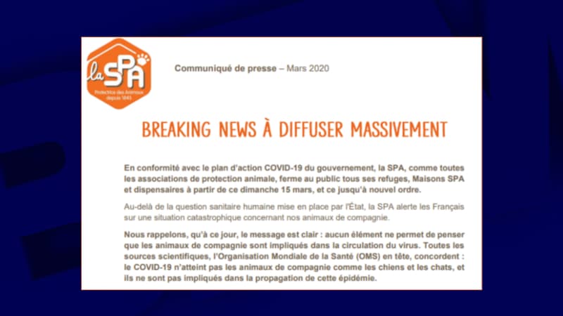 Le communique de la SPA