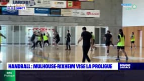 Handball: Mulhouse-Rixheim vise la deuxième division 
