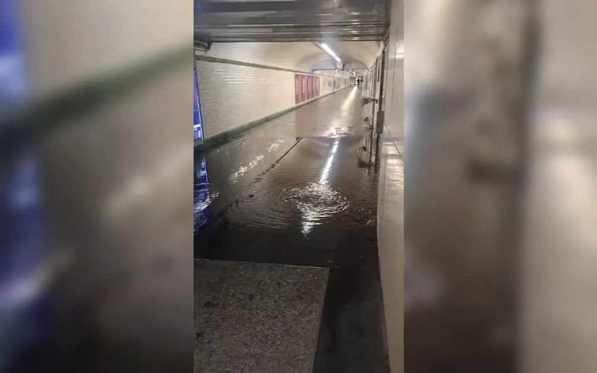 placeholder video