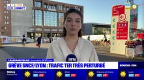 Grève à la SNCF: les Lyonnais s'adaptent malgré des TER et TGV supprimés