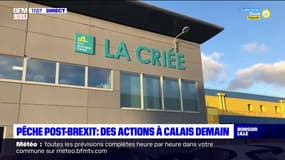 Pêche post-Brexit: des actions à Calais vendredi