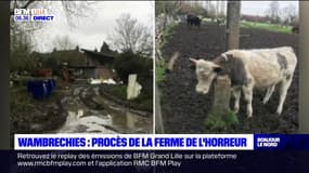 Wambrechies: le procès de "la ferme de l'horreur" s'ouvre ce mardi