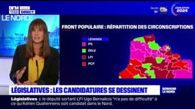 Législatives: les candidatures se dessinent dans les circonscriptions du Nord-Pas-de-Calais