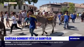 Château-Gombert: la cavalcade de la Saint-Éloi a retrouvé son public après le début de la crise sanitaire 