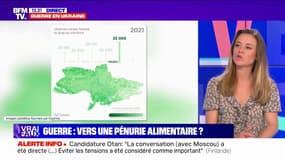 Guerre en Ukraine: vers une pénurie alimentaire?