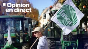 Les syndicats majoritaires des agriculteurs ont appelé à une nouvelle mobilisation nationale à partir de mi-novembre.