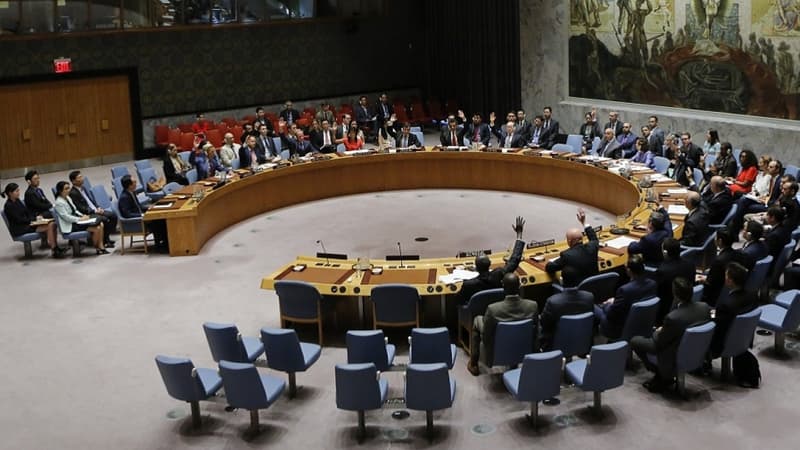 La Russie oppose son veto à une résolution de l'ONU visant à prolonger les sanctions au Mali