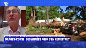 Orages/Corse: des années pour s'en remettre ? - 20/08