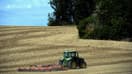 Un tracteur dans un champ de blé (Photo d'illustration)