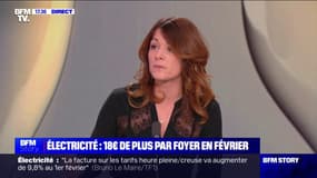 Hausse du prix de l'électricité: "C'est une décision qui est difficile mais qui est nécessaire", affirme Maud Bregeon (Renaissance)