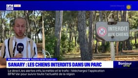 Sanary-sur-Mer: les chiens interdits au parc du Colombet