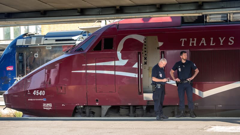 L'installation de portiques sur les lignes Thalys a été décidée à la suite des attentats du 13 novembre à Paris et de l'attaque ratée fin août dans un Amsterdam-Paris. (Photo d'illustration)