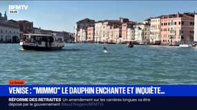 Le break du mardi 11 novembre