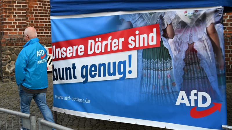 Allemagne: une branche de l'AfD accusée d'avoir distribué des 